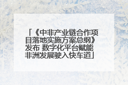 《中非产业链合作项目落地实施方案总纲》发布 数字化平台赋能非洲发展驶入快车道