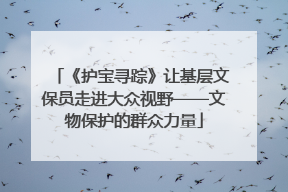《护宝寻踪》让基层文保员走进大众视野——文物保护的群众力量