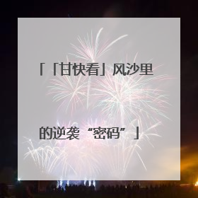 「甘快看」风沙里的逆袭“密码”