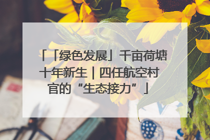 「绿色发展」千亩荷塘 十年新生｜四任航空村官的“生态接力”