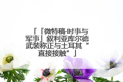 「微特稿·时事与军事」叙利亚库尔德武装称正与土耳其“直接接触”