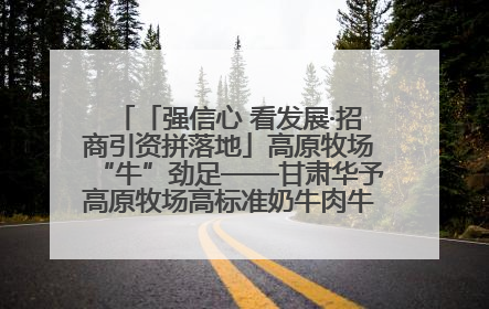 「强信心 看发展·招商引资拼落地」高原牧场“牛”劲足——甘肃华予高原牧场高标准奶牛肉牛养殖项目一线见闻