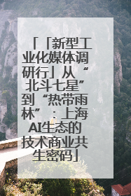 「新型工业化媒体调研行」从“北斗七星”到“热带雨林”：上海AI生态的技术商业共生密码