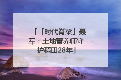 「时代脊梁」聂军：土地营养师守护稻田28年