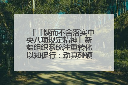 「锲而不舍落实中央八项规定精神」新疆组织系统注重转化以知促行：动真碰硬抓好整改整治