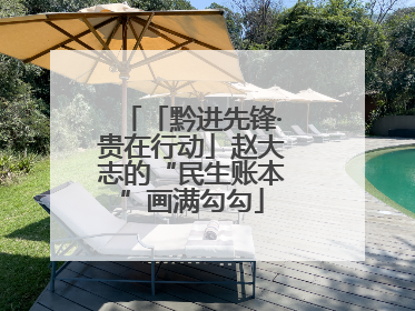 「黔进先锋·贵在行动」赵大志的“民生账本”画满勾勾