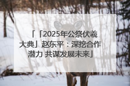 「2025年公祭伏羲大典」赵东平：深挖合作潜力 共谋发展未来