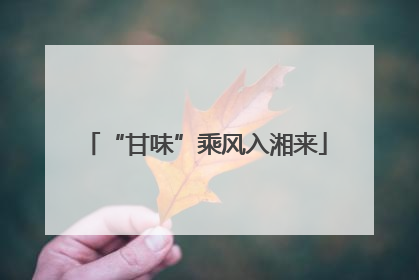 “甘味”乘风入湘来