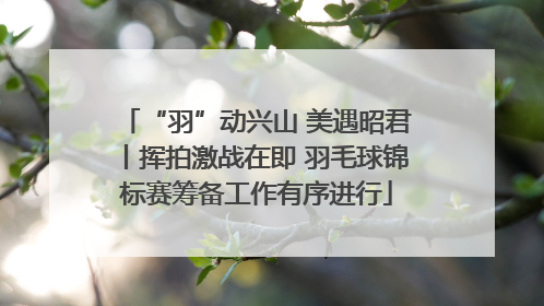 “羽”动兴山 美遇昭君丨挥拍激战在即 羽毛球锦标赛筹备工作有序进行