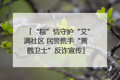 “粽”情守护“艾”满社区 民警携手“黄鹤卫士”反诈宣传