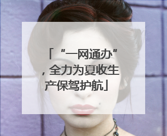 “一网通办”，全力为夏收生产保驾护航
