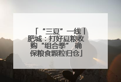 “三夏”一线丨肥城：打好夏粮收购“组合拳” 确保粮食颗粒归仓