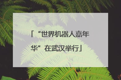 “世界机器人嘉年华”在武汉举行