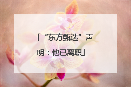 “东方甄选”声明：他已离职