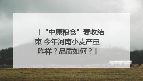“中原粮仓”麦收结束 今年河南小麦产量咋样？品质如何？
