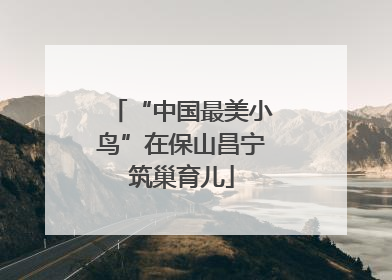 “中国最美小鸟”在保山昌宁筑巢育儿