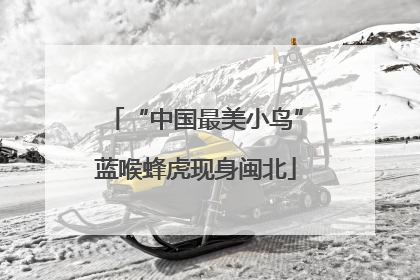 “中国最美小鸟”蓝喉蜂虎现身闽北