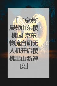 “京燕”展翅山东樱桃园 京东物流自研无人机开启樱桃出山新速度