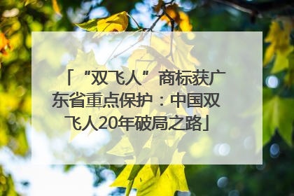 “双飞人”商标获广东省重点保护：中国双飞人20年破局之路