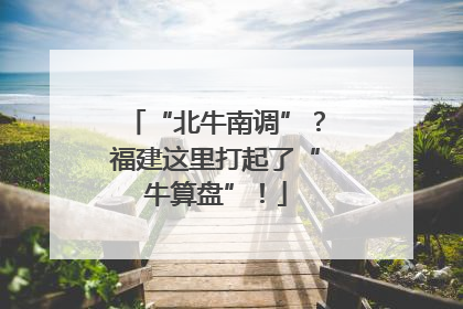“北牛南调”？福建这里打起了“牛算盘”！