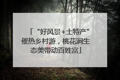 “好风景+土特产”催热乡村游，桃花涧生态美带动百姓富