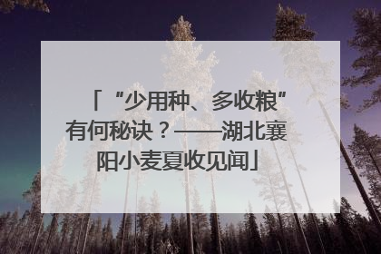 “少用种、多收粮”有何秘诀？——湖北襄阳小麦夏收见闻