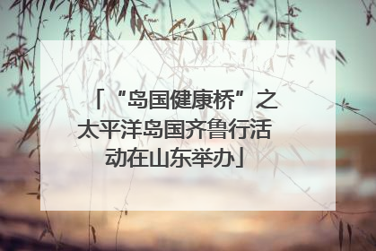 “岛国健康桥”之太平洋岛国齐鲁行活动在山东举办