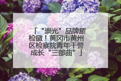 “崇光”品牌耀检徽！黄冈市黄州区检察院青年干警成长“三部曲”