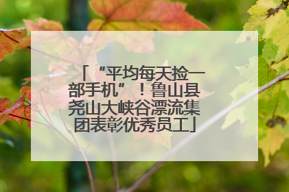 “平均每天捡一部手机”！鲁山县尧山大峡谷漂流集团表彰优秀员工