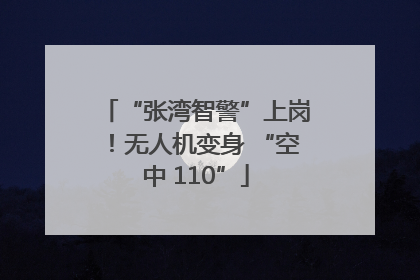 “张湾智警”上岗！无人机变身 “空中 110”
