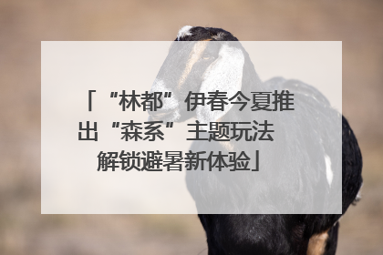 “林都”伊春今夏推出“森系”主题玩法 解锁避暑新体验