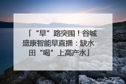 “旱”路突围！谷城盛康智能旱直播：缺水田“喝”上高产水