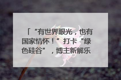 “有世界眼光，也有国家情怀！”打卡“绿色硅谷”，博主新解乐山｜网络名人四川行