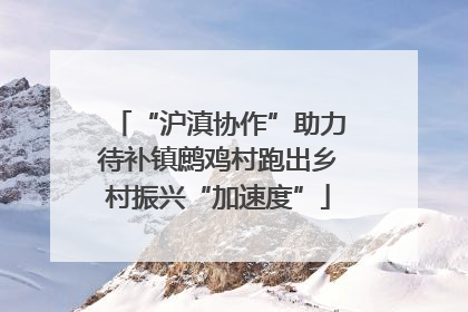 “沪滇协作”助力待补镇鹧鸡村跑出乡村振兴“加速度”