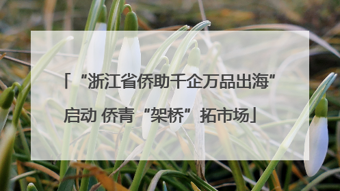 “浙江省侨助千企万品出海”启动 侨青“架桥”拓市场