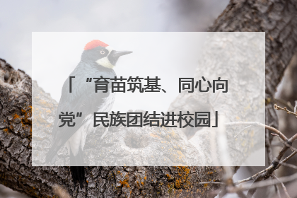 “育苗筑基、同心向党”民族团结进校园