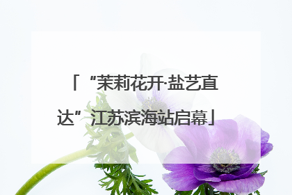 “茉莉花开·盐艺直达”江苏滨海站启幕