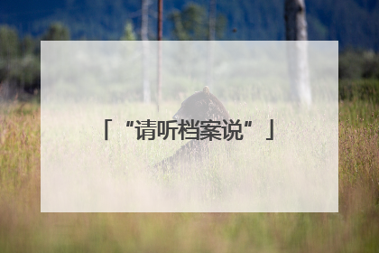 “请听档案说”