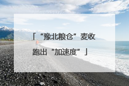 “豫北粮仓”麦收跑出“加速度”