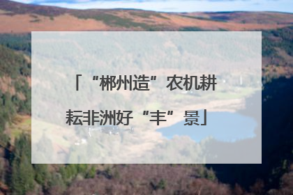 “郴州造”农机耕耘非洲好“丰”景