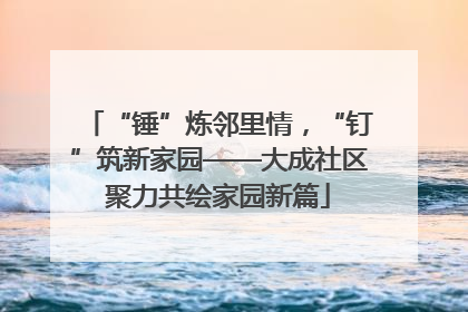 “锤”炼邻里情，“钉”筑新家园——大成社区聚力共绘家园新篇