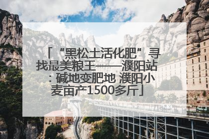 “黑松土活化肥”寻找最美粮王——濮阳站：碱地变肥地 濮阳小麦亩产1500多斤