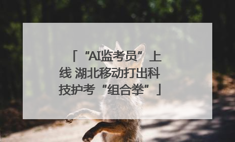 “AI监考员”上线 湖北移动打出科技护考“组合拳”