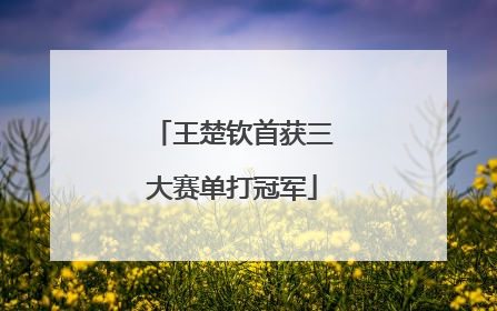 王楚钦首获三大赛单打冠军
