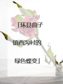 环县曲子镇西沟村的绿色蝶变