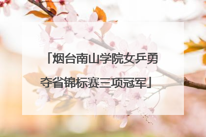 烟台南山学院女乒勇夺省锦标赛三项冠军