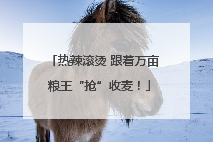 热辣滚烫 跟着万亩粮王“抢”收麦！