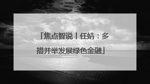 焦点智说丨任婧：多措并举发展绿色金融
