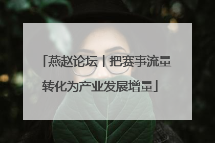 燕赵论坛丨把赛事流量转化为产业发展增量