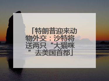 特朗普迎来动物外交：沙特将送两只“大猫咪”去美国首都